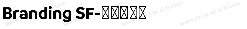 Branding SF字体转换